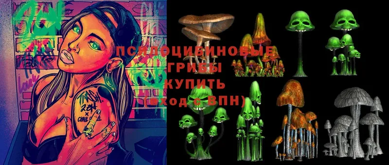 omg ссылки  Большой Камень  Галлюциногенные грибы Psilocybine cubensis 